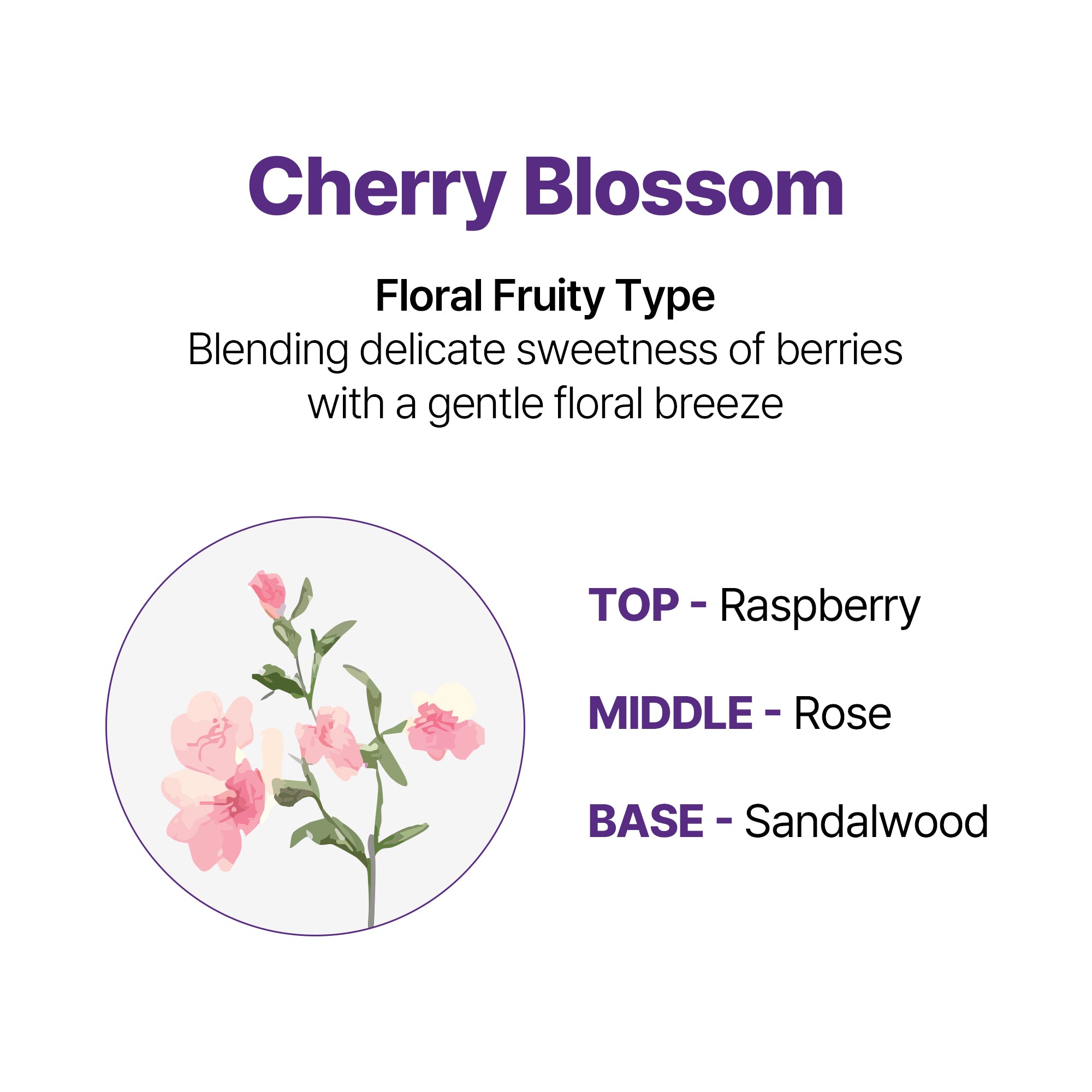 Honey & Macadamia Nature Shampoo - Cherry Blossom