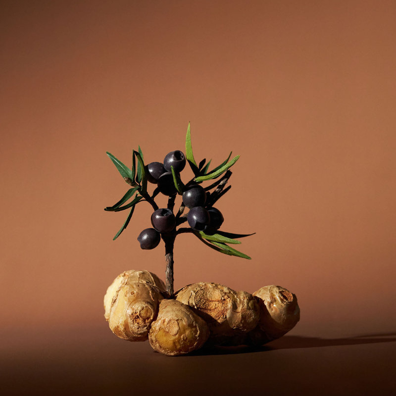AROMATICA Circulating Body Oil Juniper Berry & Ginger | BONIIK K-Beauty Skincare Australia