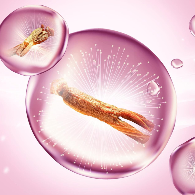 DONGINBI Red Ginseng Daily Defense Special Set | Shop BONIIK Anti-Ageing Skincare