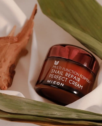 MIZON Snail Repair Perfect Cream | Moisturiser | BONIIK | Best Korean Beauty Skincare Makeup in Australia