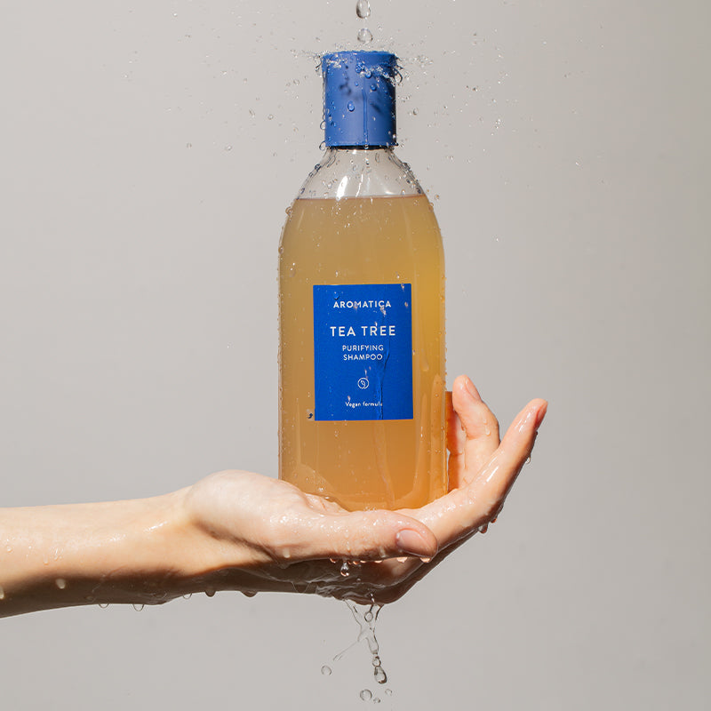 AROMATICA Tea Tree Purifying Shampoo | BONIIK Korean Beauty Australia
